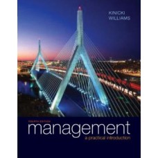 MANAGEMENT A PRACTICAL INTRODUCTION 4E