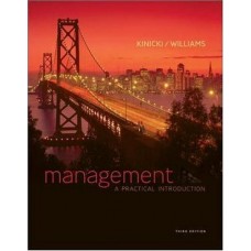 MANAGEMENT A PRACTICAL INTRODUCTION