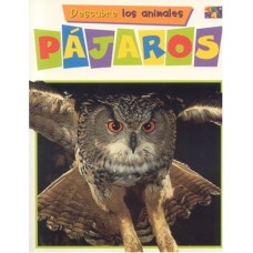 PAJAROS