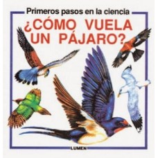 COMO VUELA UN PAJARO?