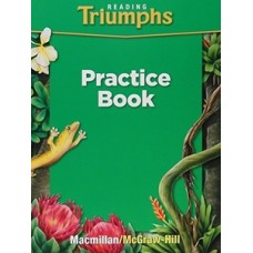 READING TRIUMPHS 4 PRACTICE BOOK