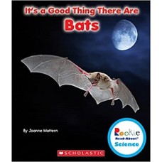 ITS A GOOD THING THERE A BATS