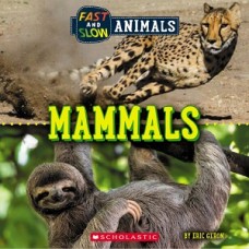 FAST AND SLOW MAMMALS