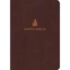 NVI BIBLIA COMPACTA LETRA GRANDE MARRON