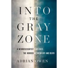 INTO THE GRAY ZONE