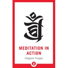 MEDITATION IN ACTION