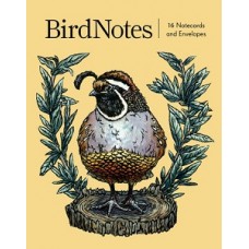 BIRDNOTES