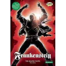 FRANKENSTEIN THE GRAPHIC NOVEL