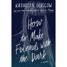 HOW TO MAKE FRIENDS WITH THE DARK