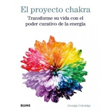 EL PROYECTO CHAKRA