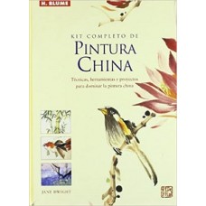 KIT COMPLETO DE PINTURA CHINA